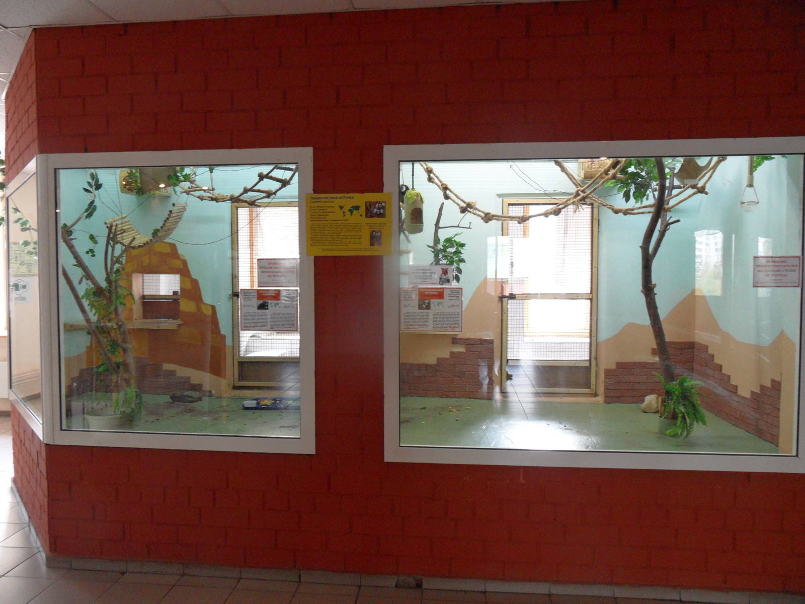 Callithrichid exhibits