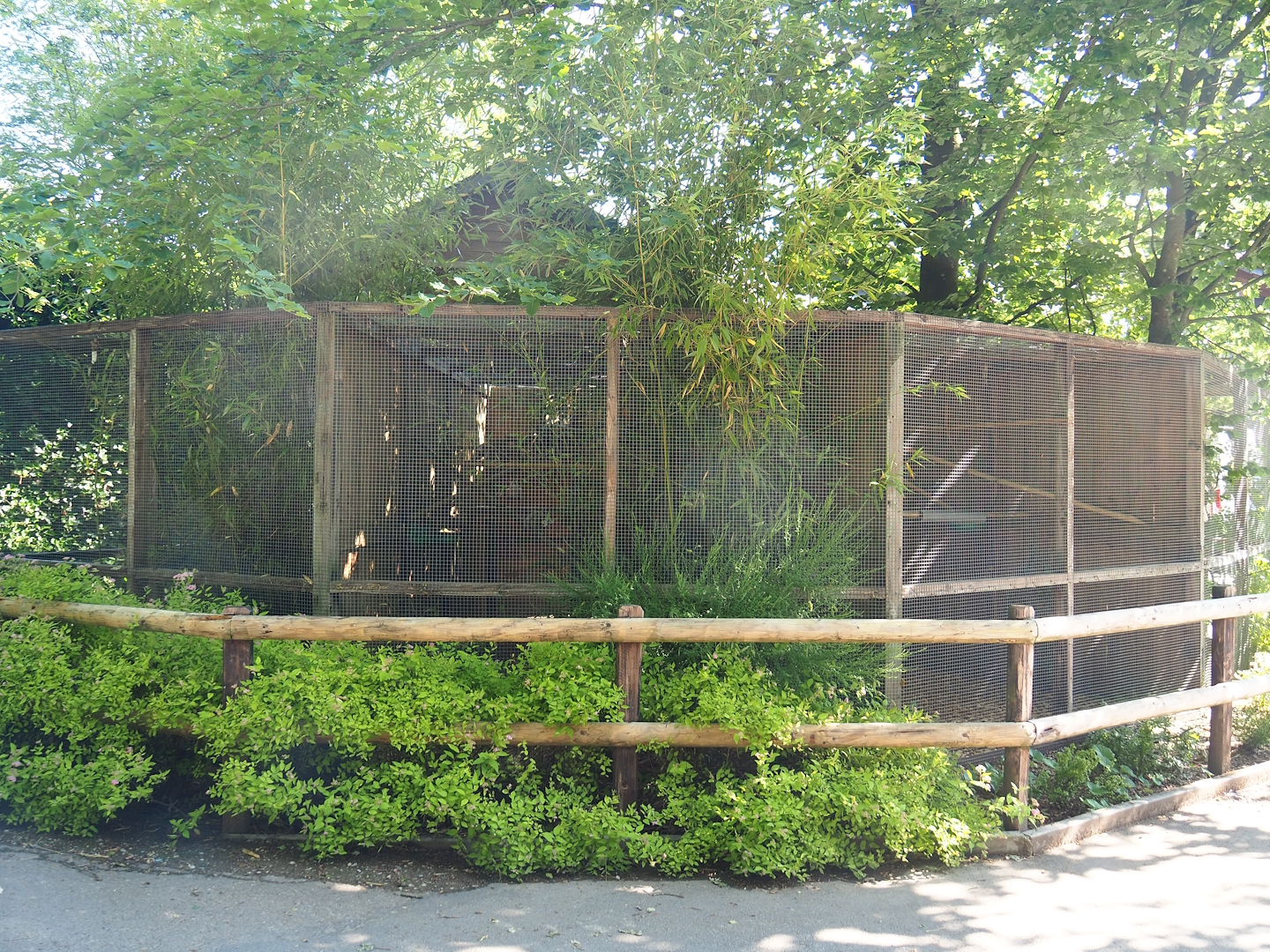 Callitrichid and genet exhibits, 2023-06-24