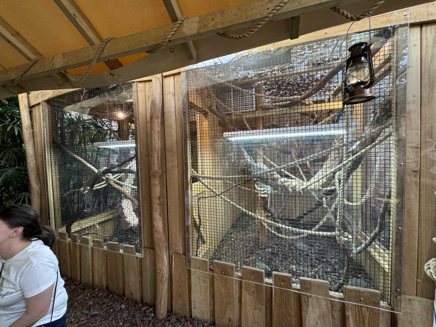 Callitrichid Enclosure at Tropical World (October 2024)