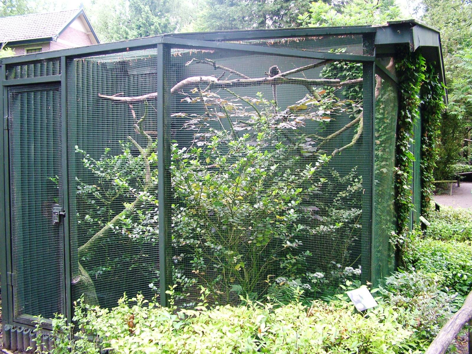 Callitrichid Enclosure at Wissel Zoo, Epe, 01/06/12