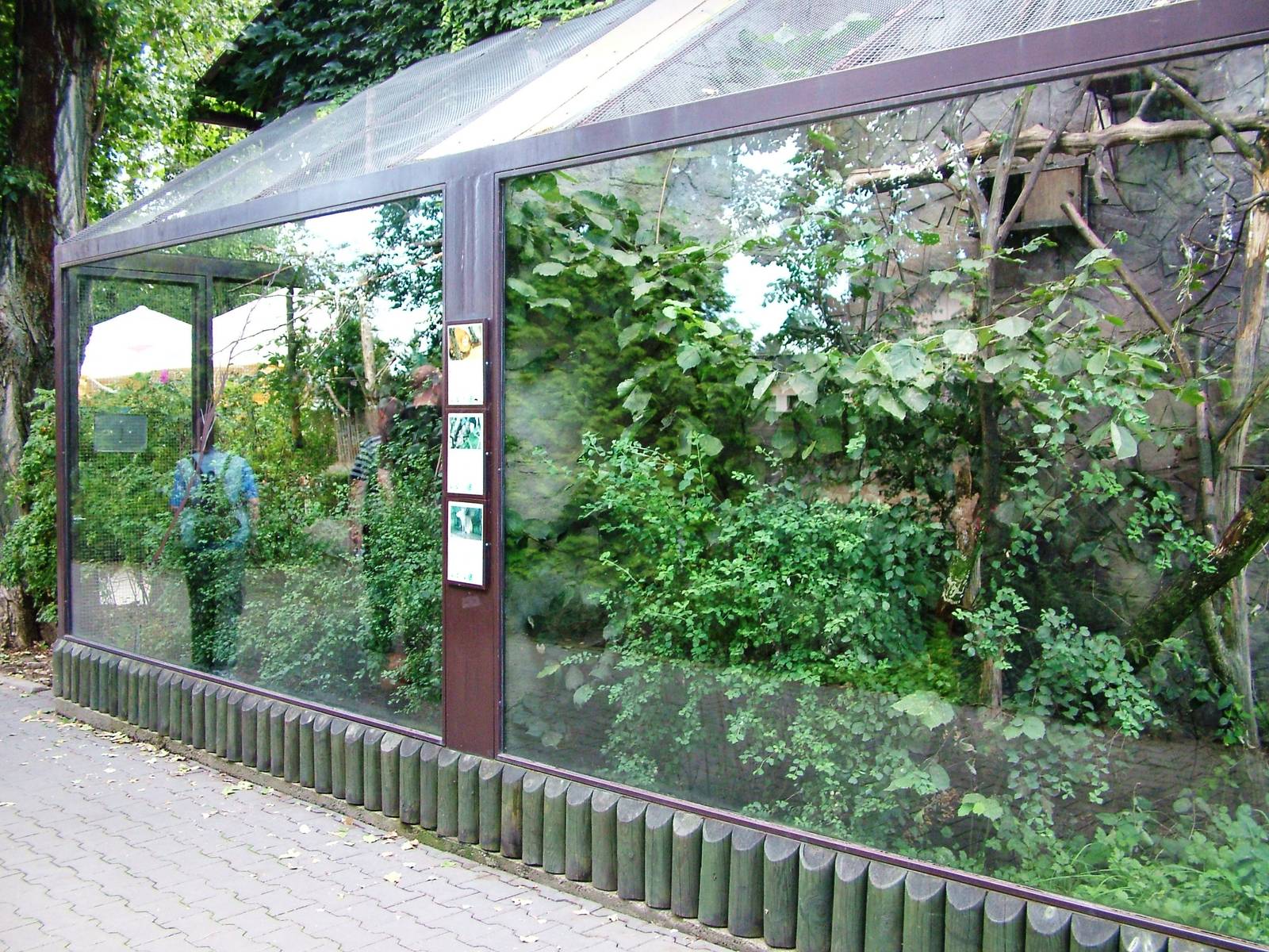 Callitrichid Enclosures at Dvur Kralove, 27/08/12