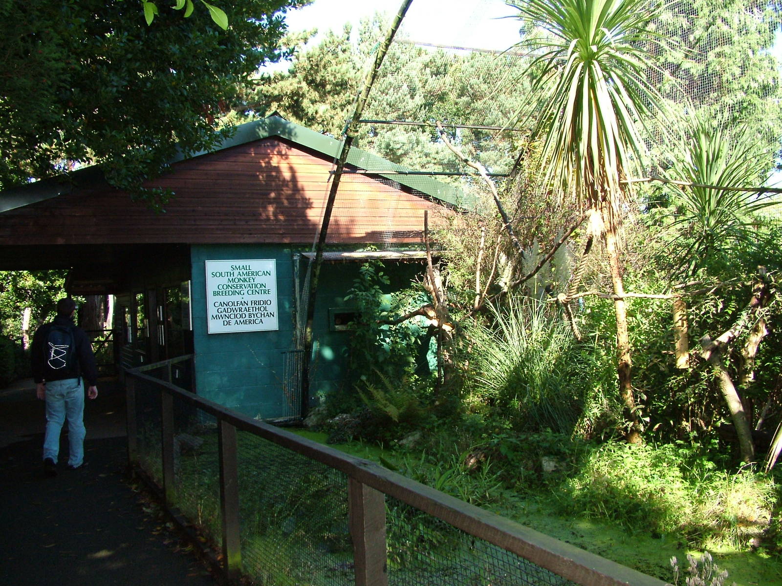 Callitrichid enclosures at the Welsh Mountain Zoo Oct 08