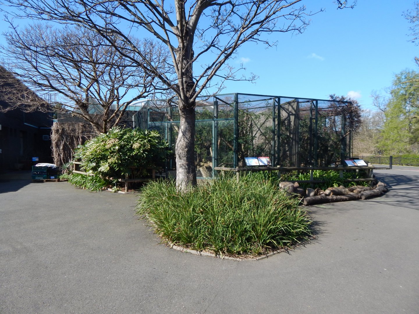 Callitrichid exhibits 180322