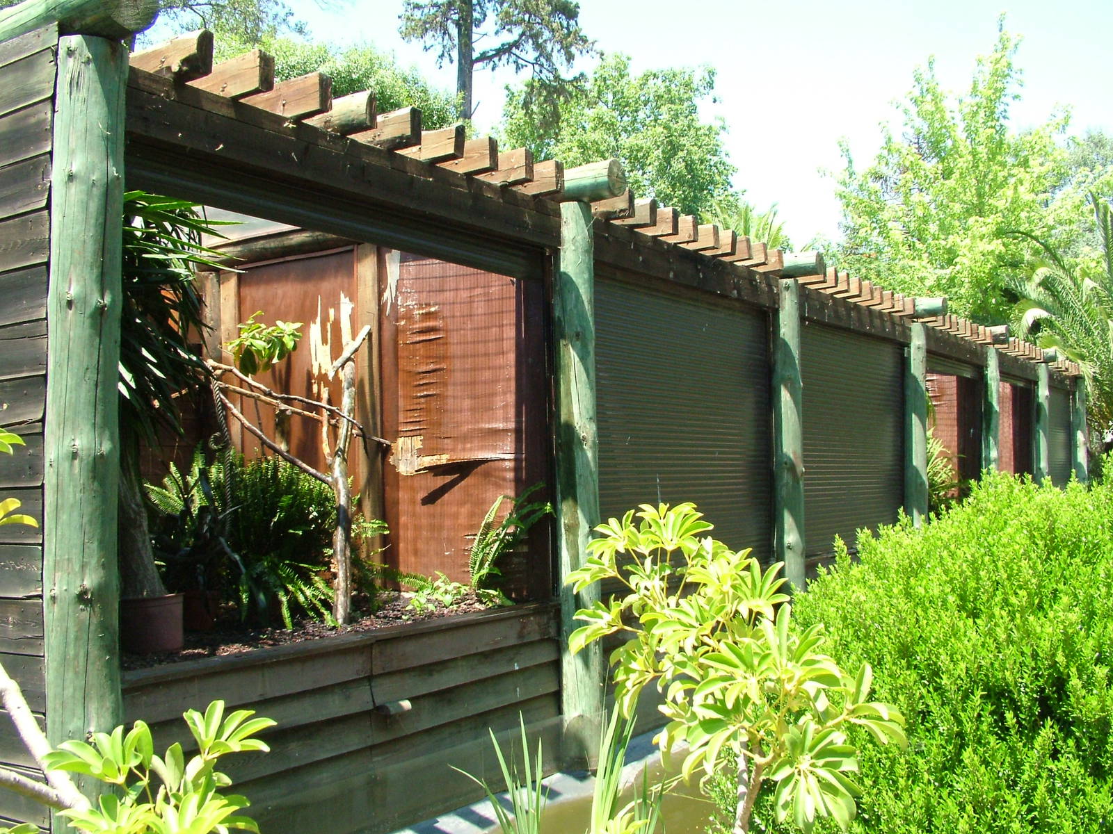 Callitrichid Exhibits at Lisbon Zoo, 24/05/11