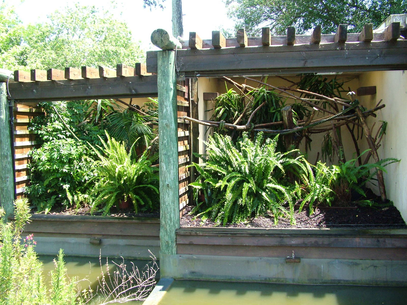 Callitrichid Exhibits at Lisbon Zoo, 24/05/11