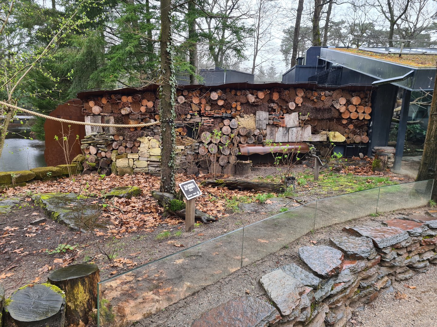 Callitrichid forest - Red-footed tortoise exhibit