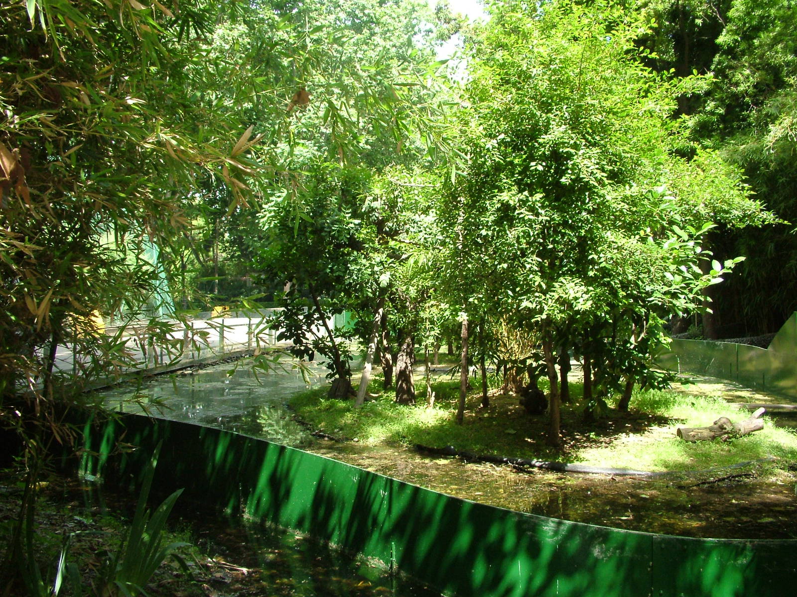 Callitrichid House at Barcelona, 30/05/11