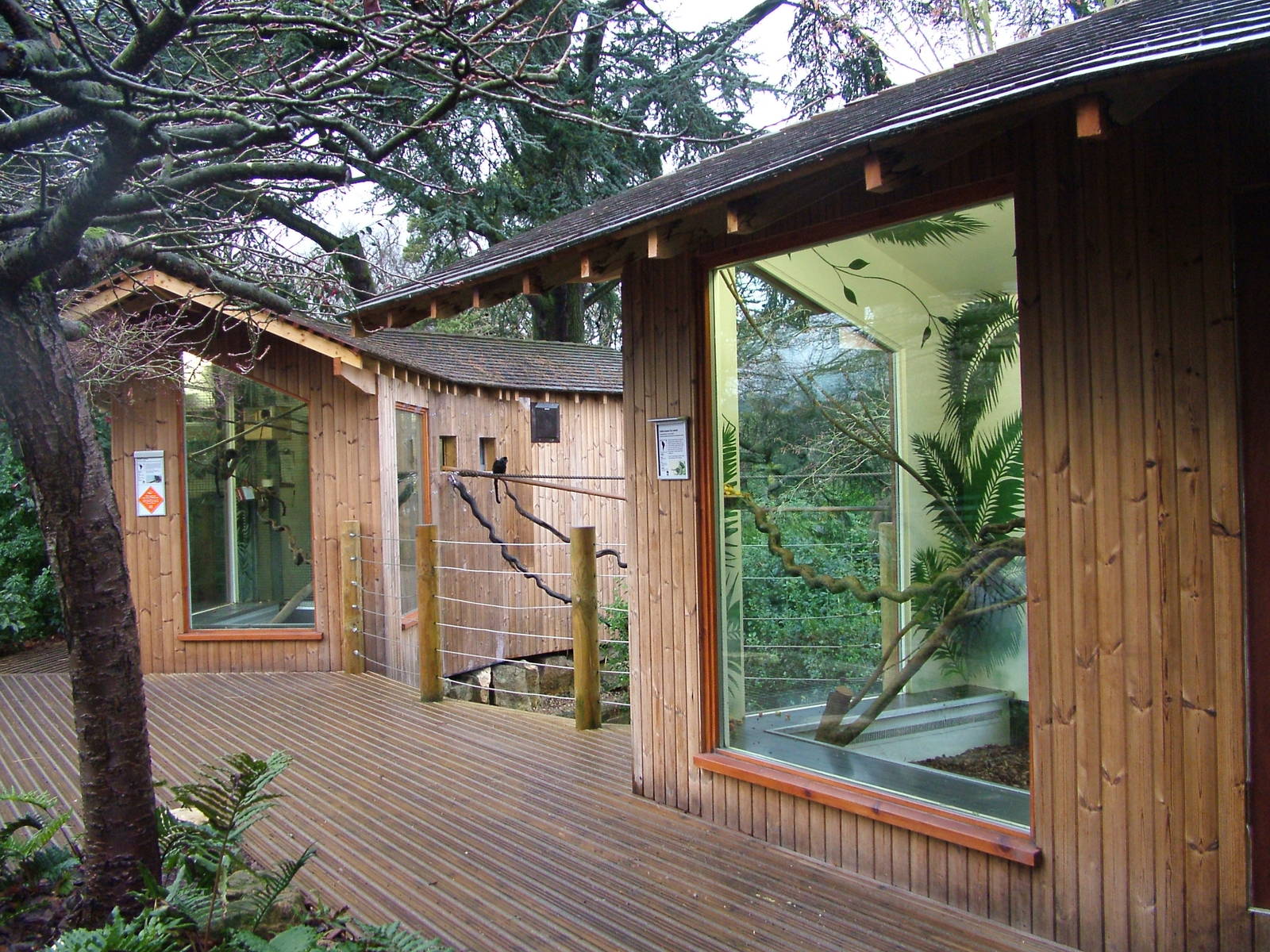 Callitrichid housing at Bristol Dec 08