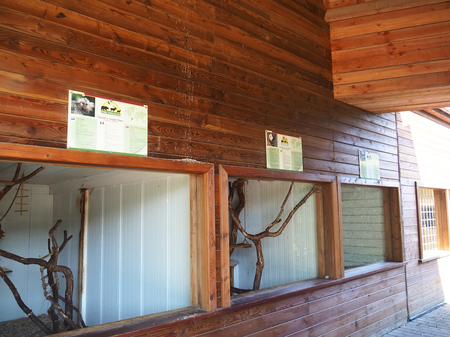 Callitrichid indoor exhibits, 2023-06-24