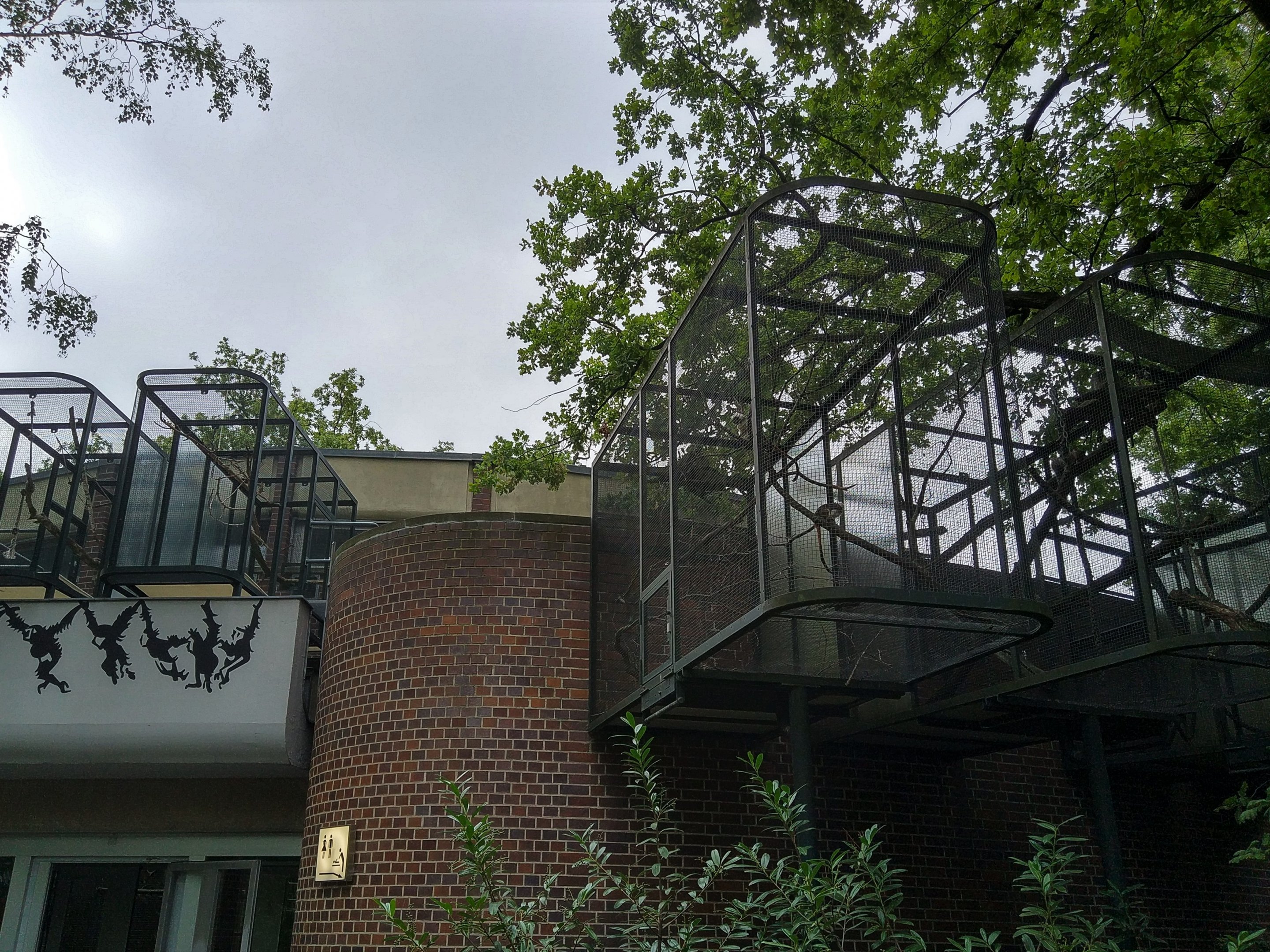 Callitrichid Outdoor Enclosures