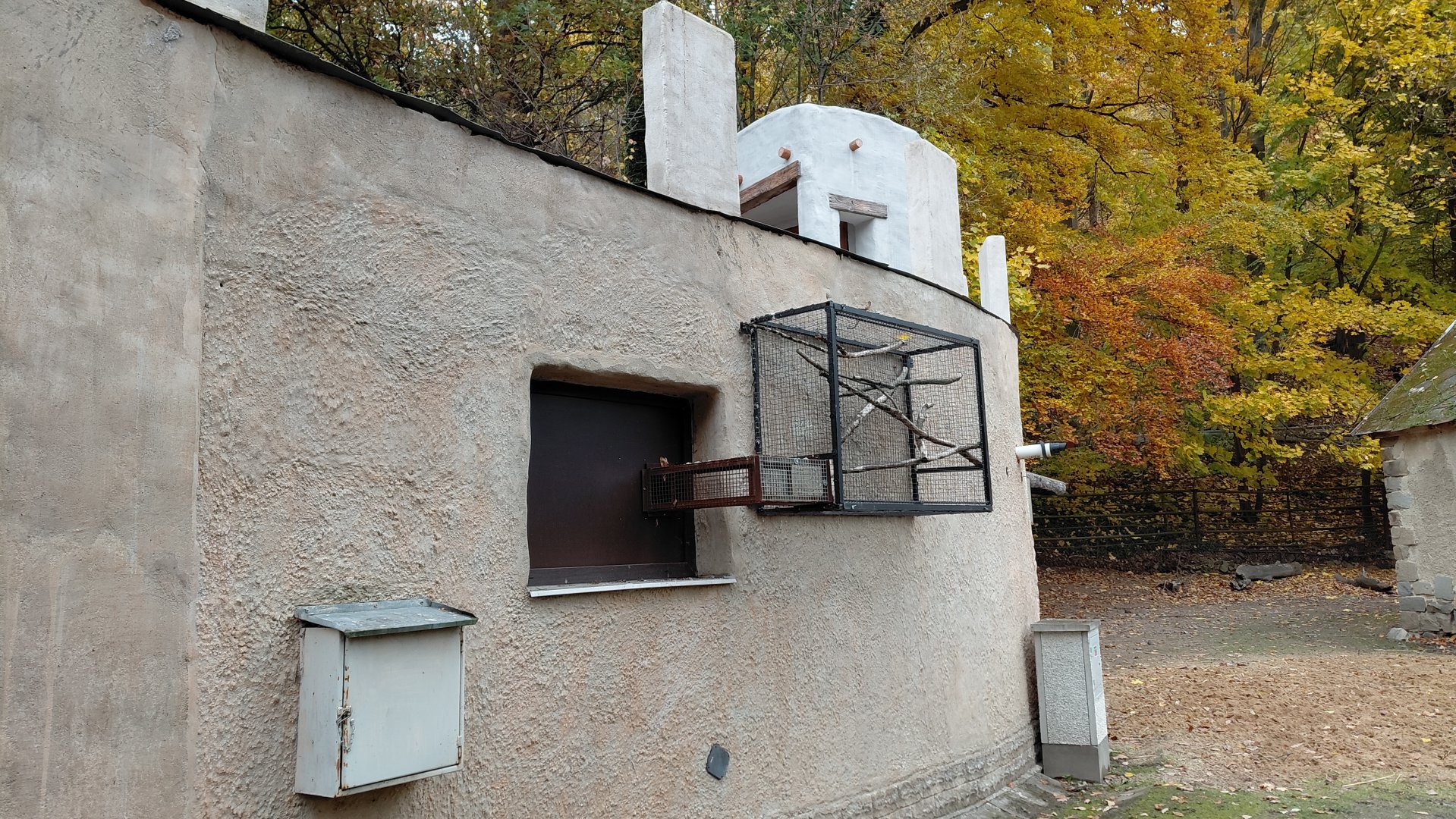 Callitrichid outdoor exhibit