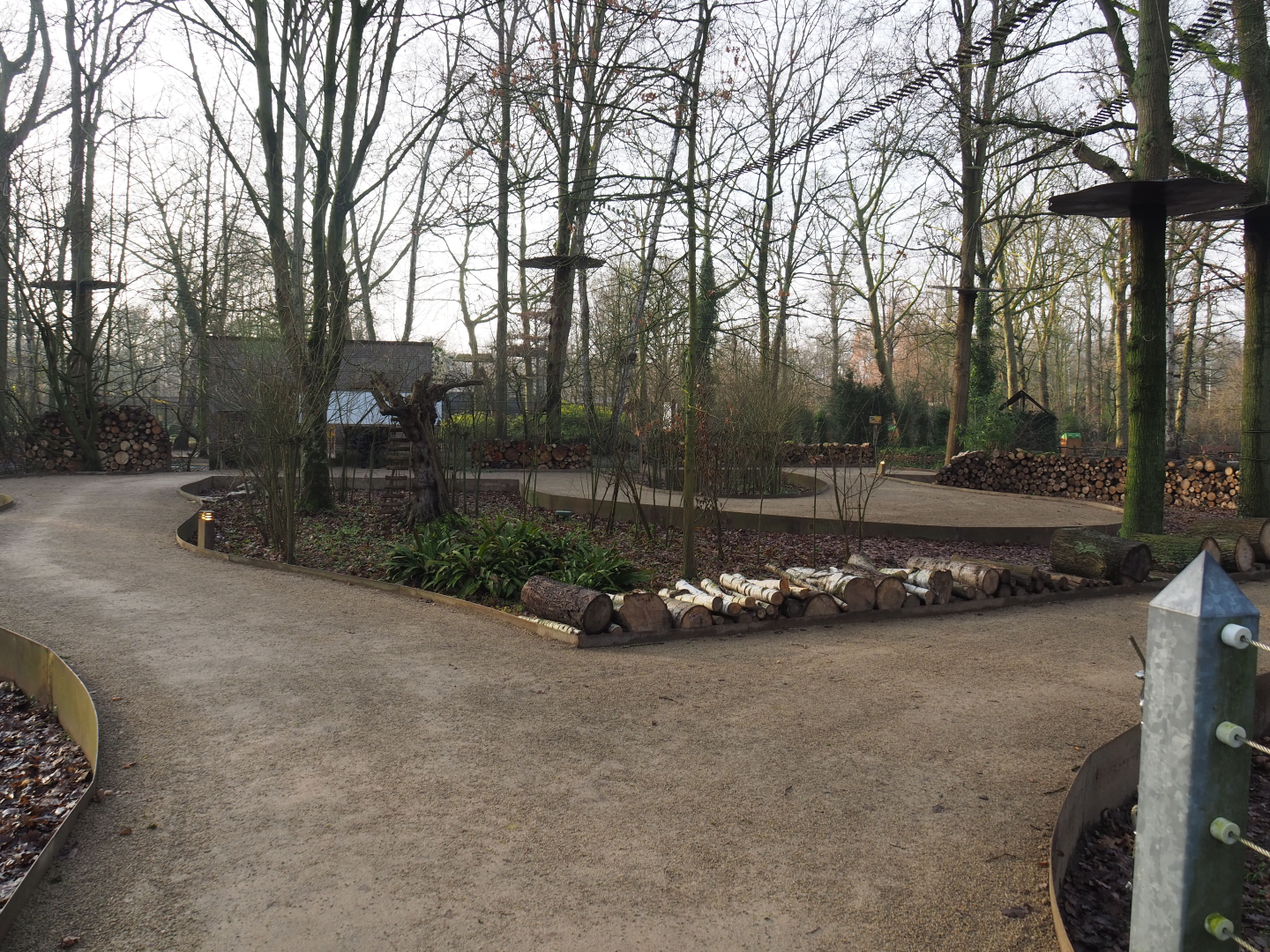 Callitrichid walk-through area, 2019-12-28