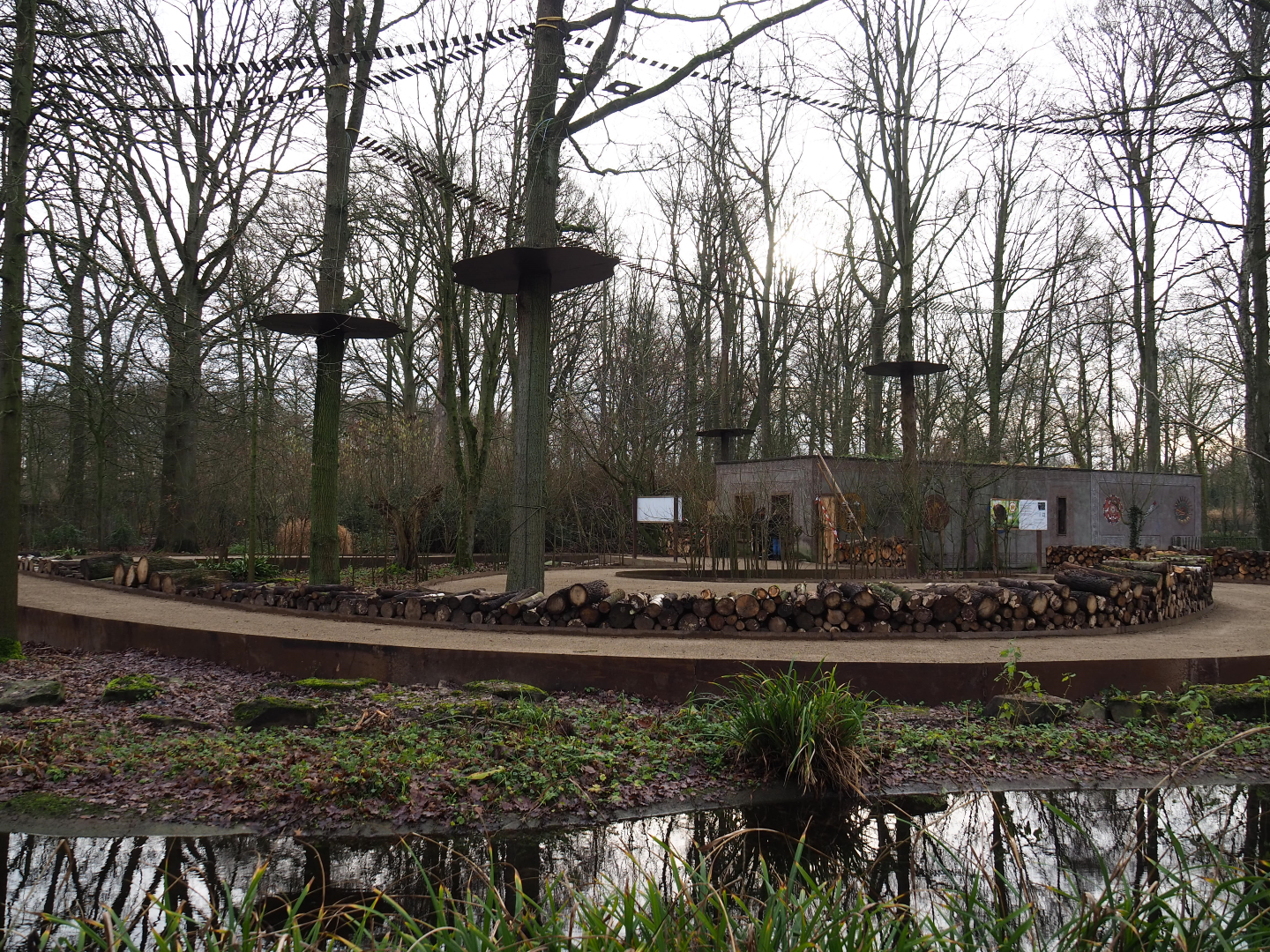 Callitrichid walk-through area, 2020-01-11