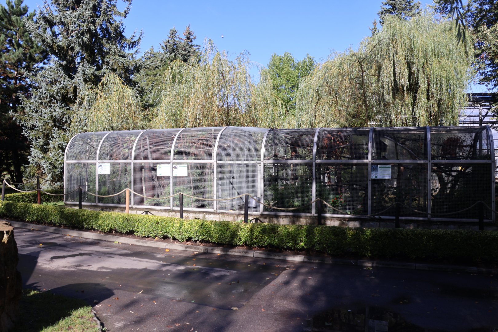 Callitrichidae aviaries