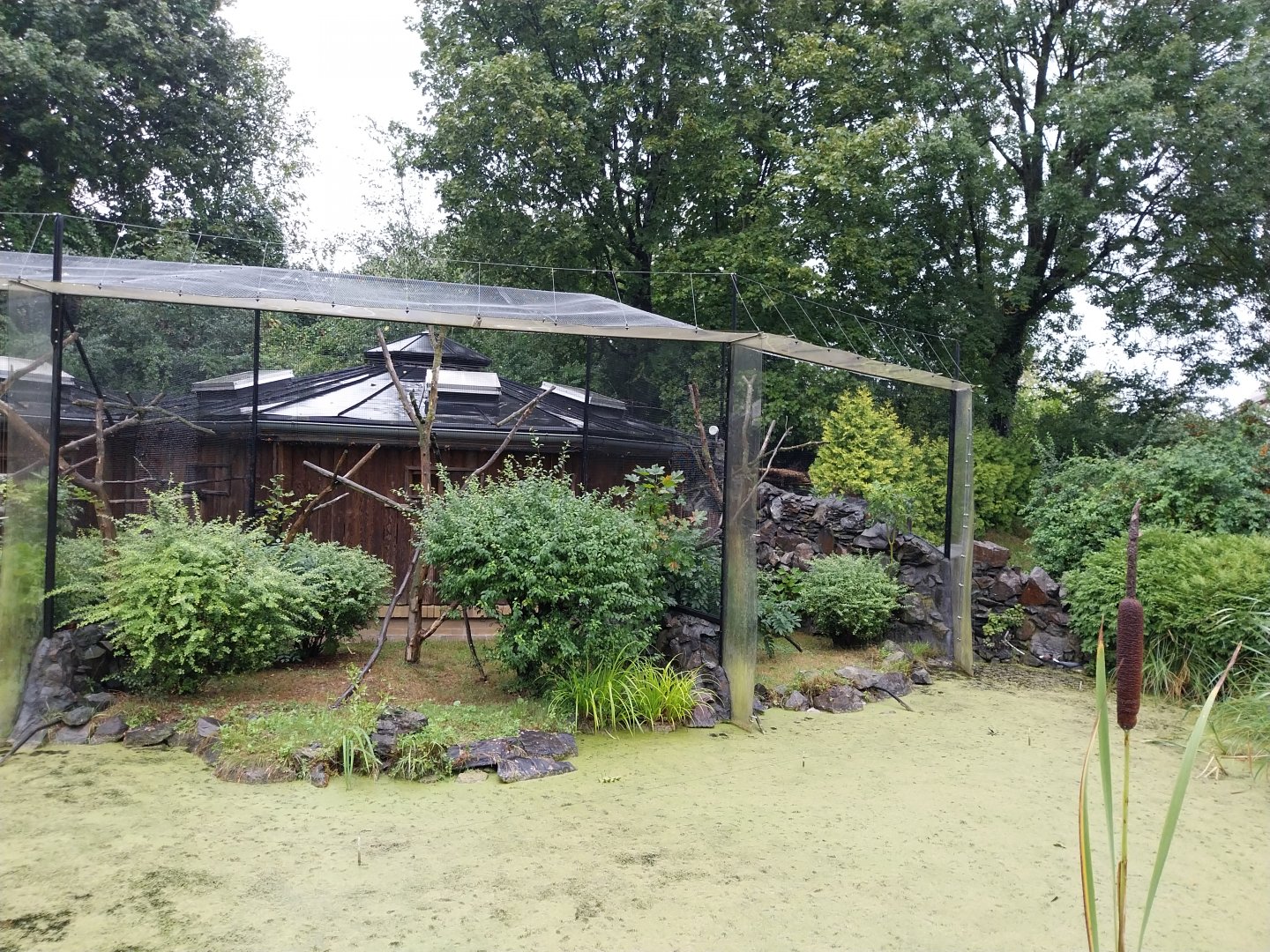 Callitrichidae House - Cotton-top tamarin enclosures