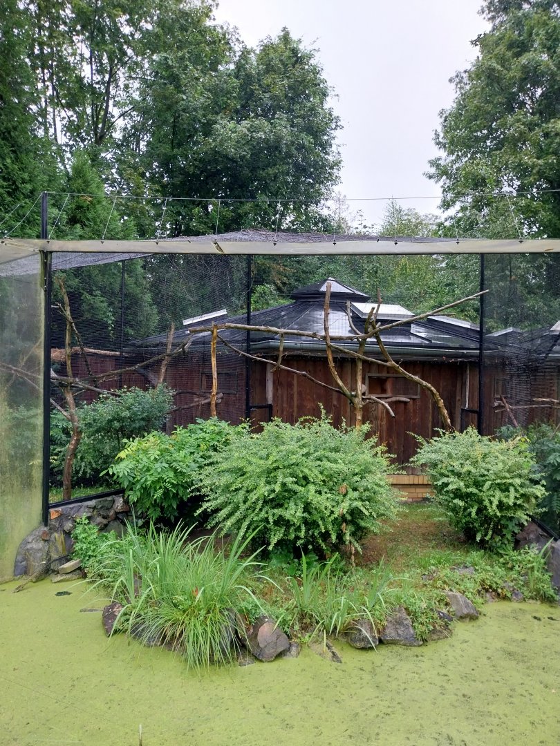 Callitrichidae House - Golden-handed tamarin enclosure