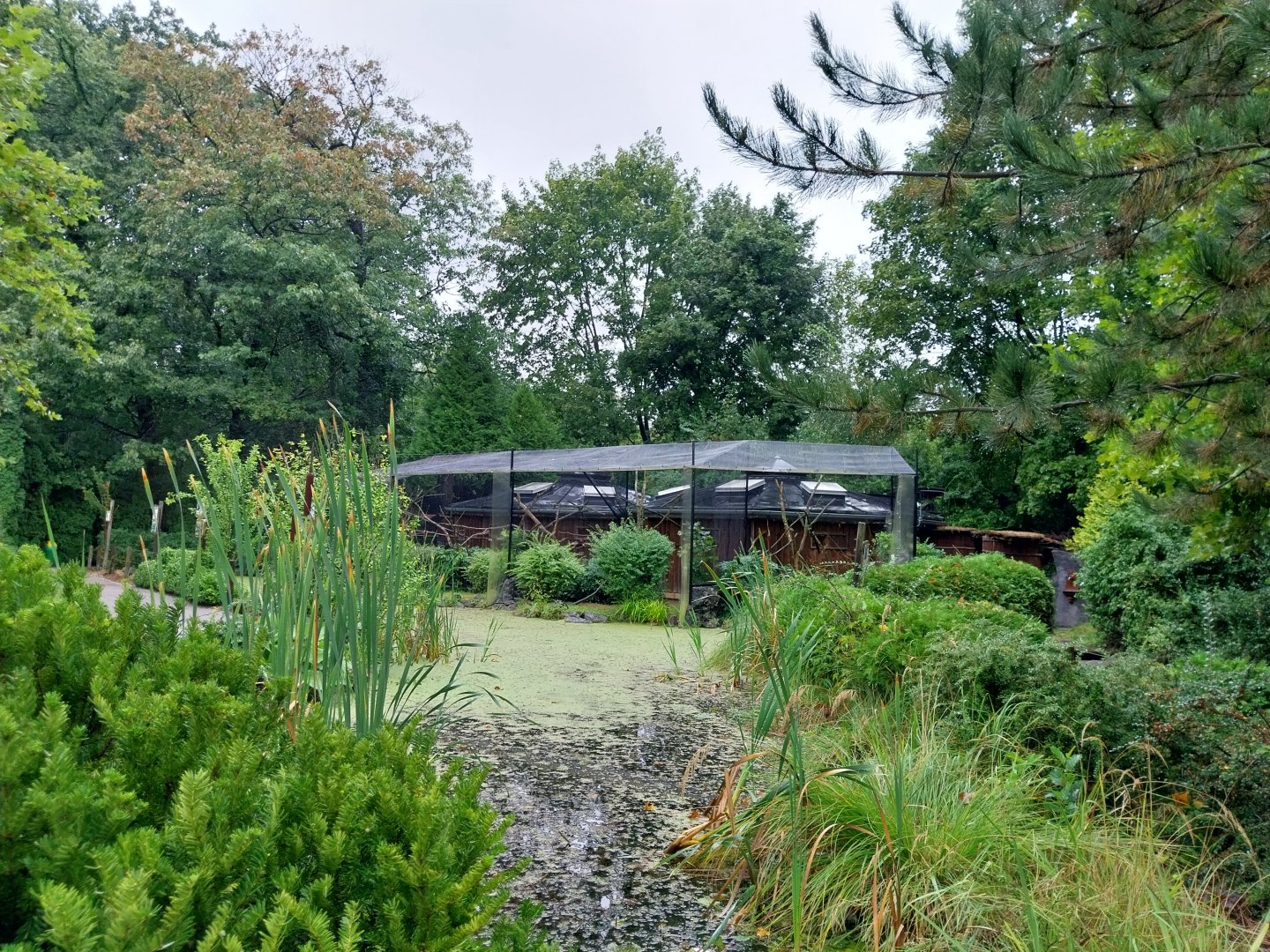 Callitrichidae House