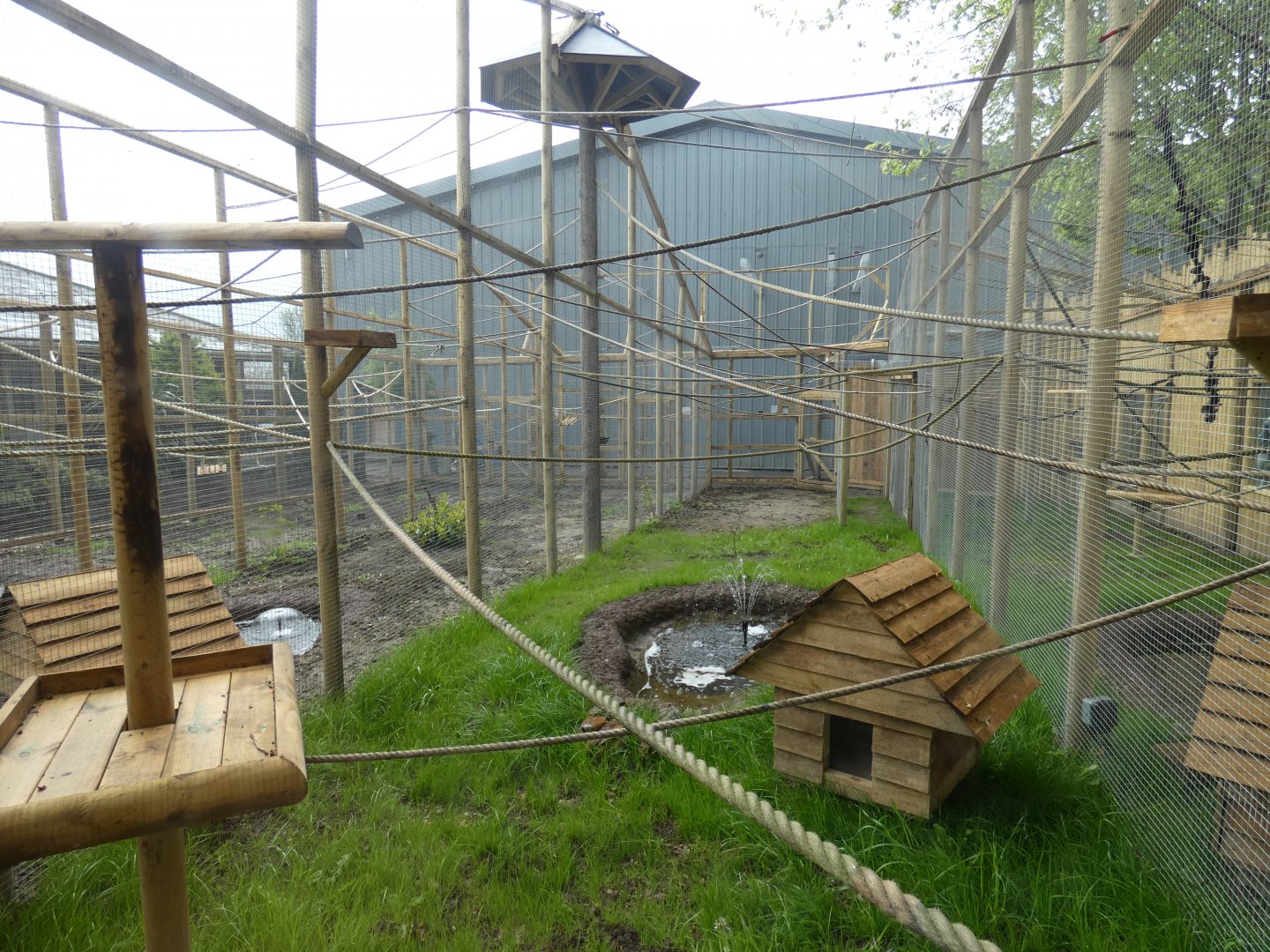 Callitrichids enclosures