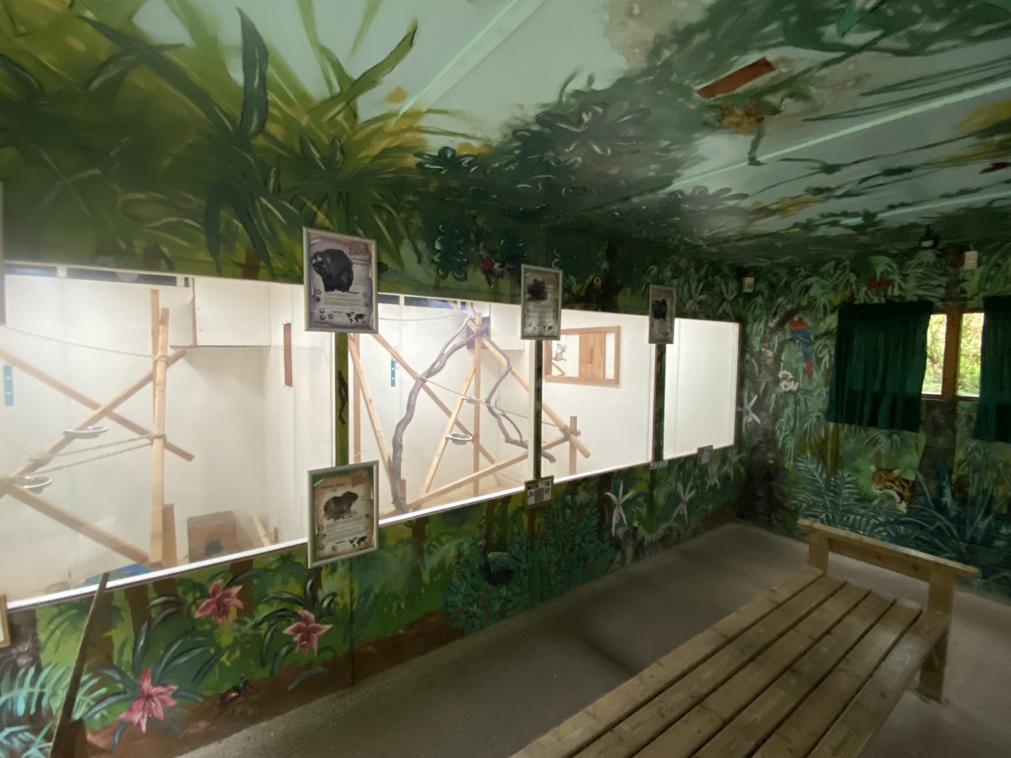 Callitrichids House 150522