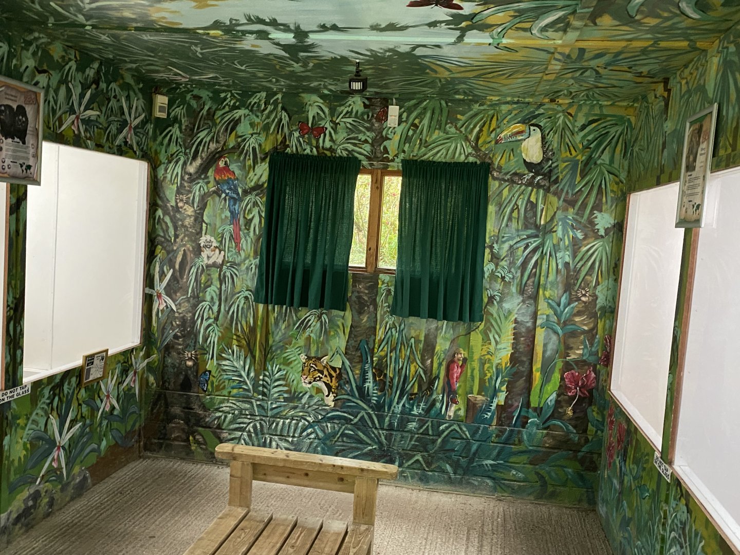 Callitrichids House 150522