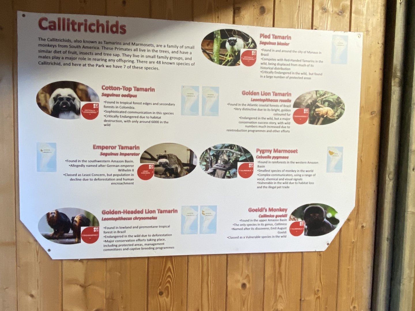 Callitrichids signage 260124
