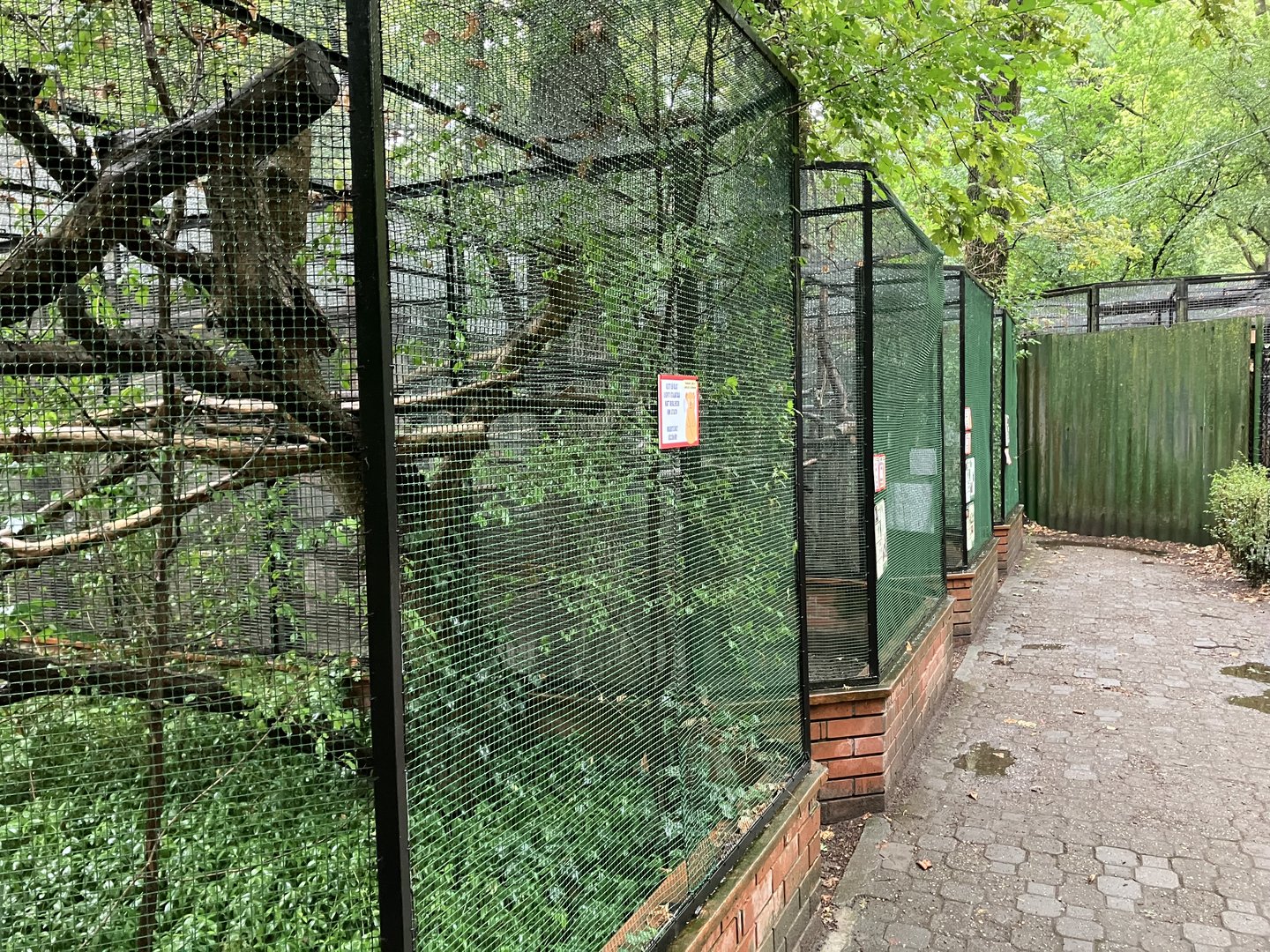 Callitrichinae cages