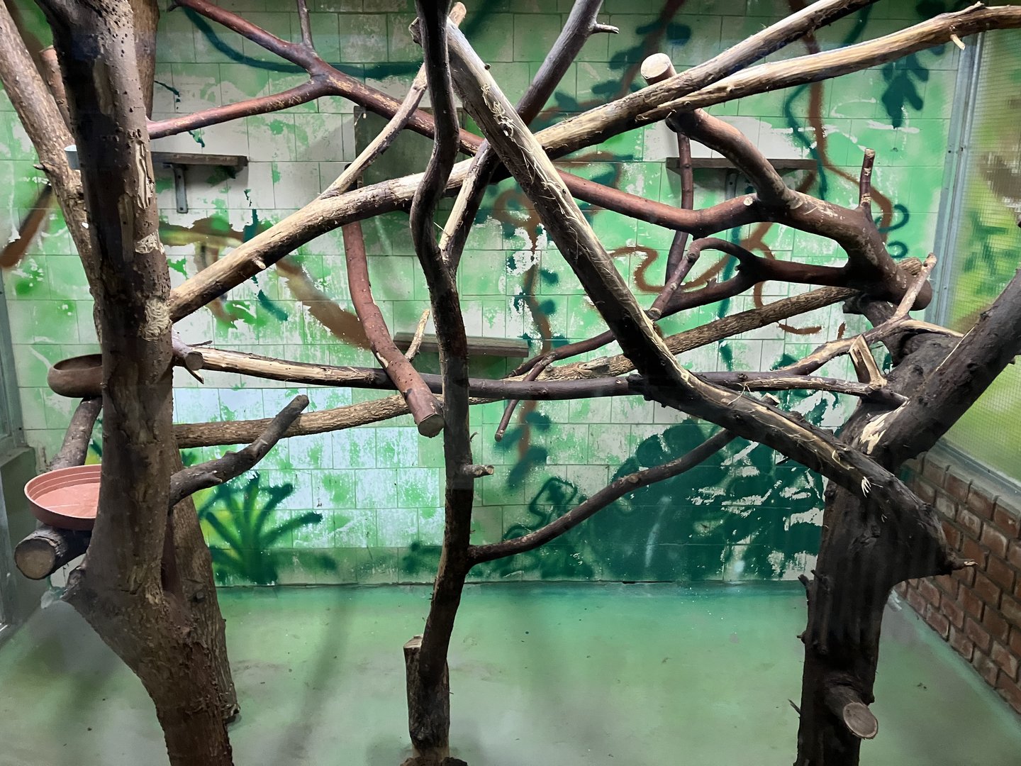 Callitrichinae indoor exhibit