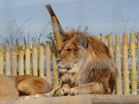 callums wingham pics