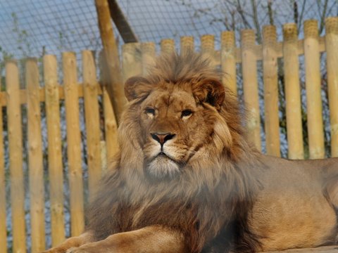 callums wingham pics