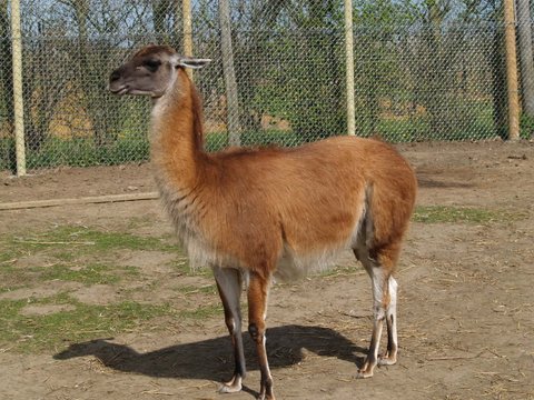 callums wingham pics