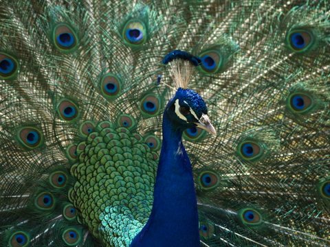 callums wingham pics