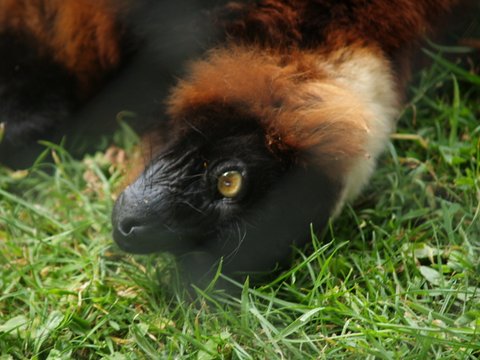 callums wingham pics