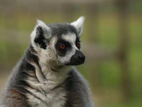 callums wingham pics