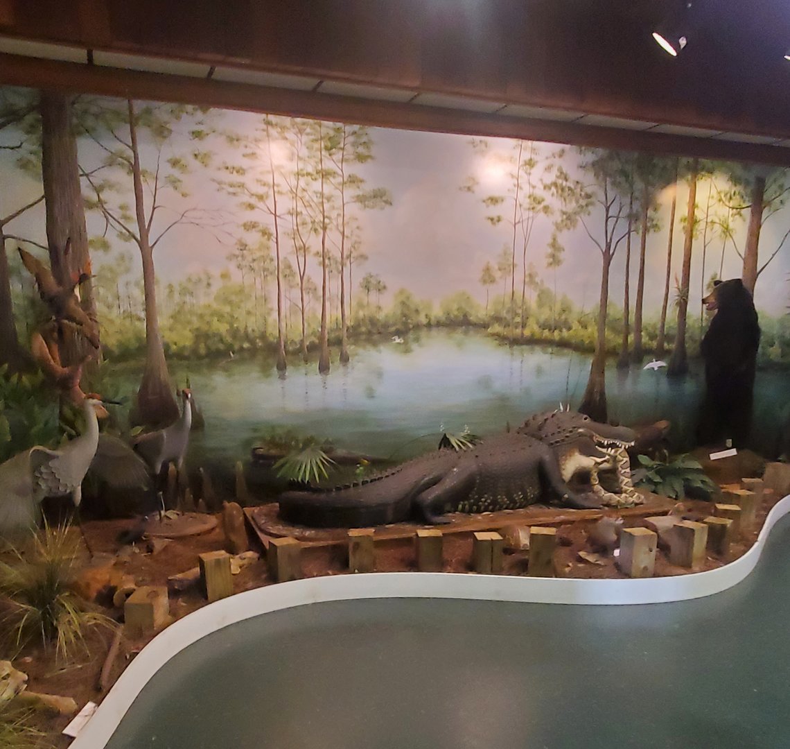 Calusa Nature Center - Wetlands display