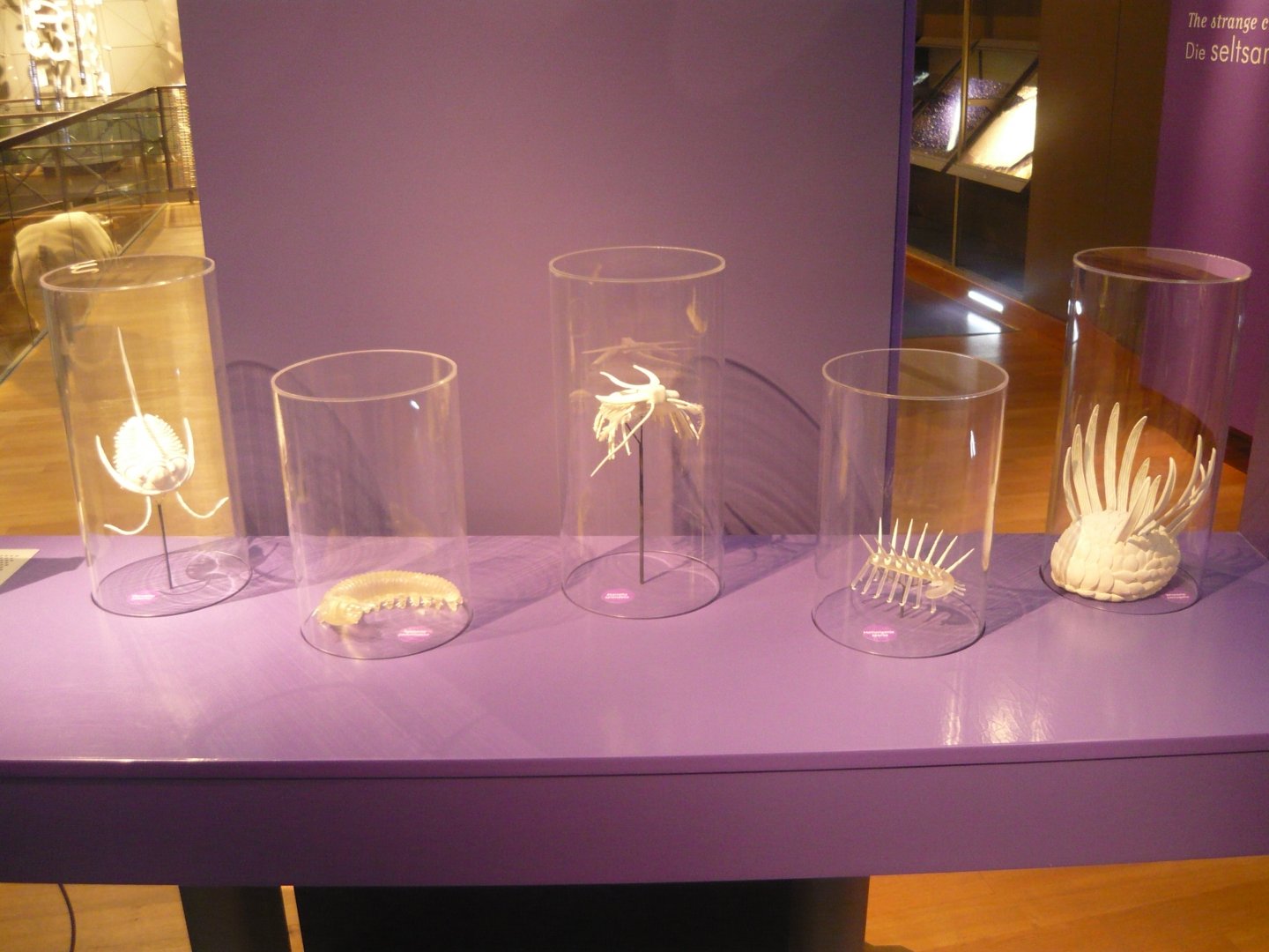 Cambrian creatures (models)