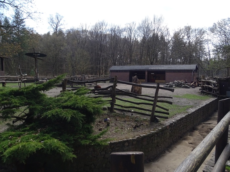 Camel and porcupine enclosures