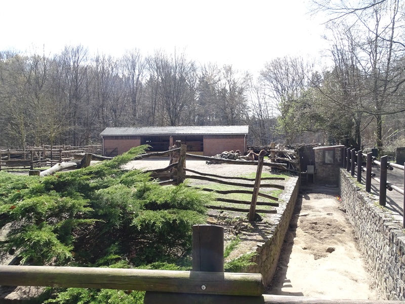 Camel and porcupine enclosures