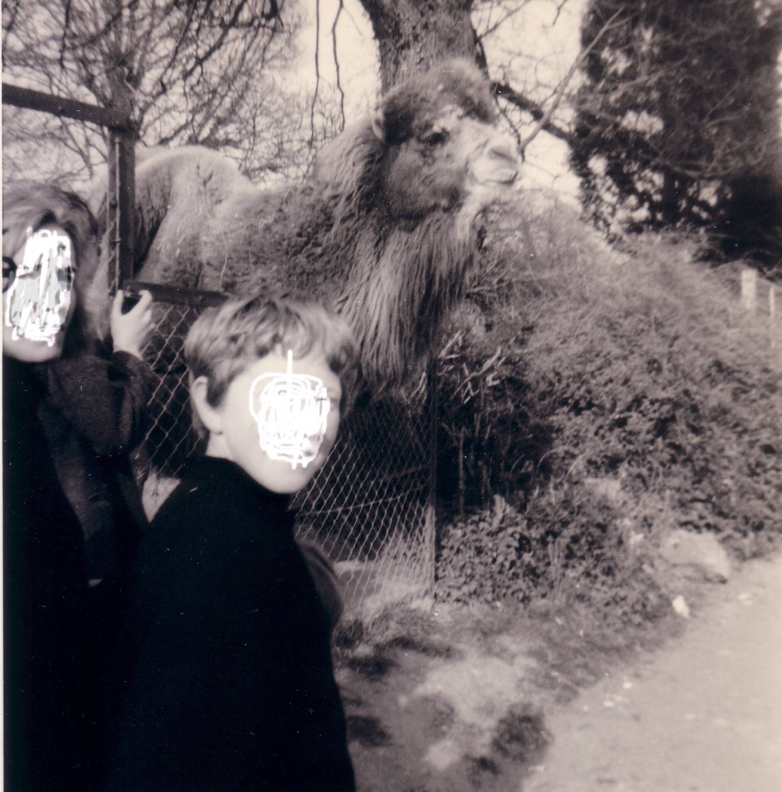 Camel, April 1968