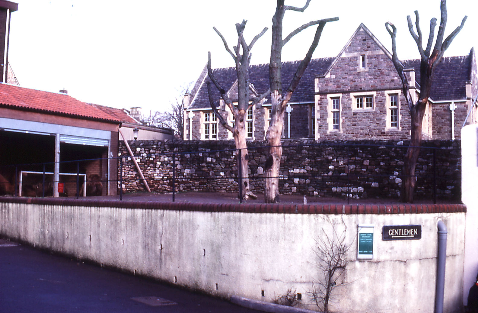 Camel enclosure - 1984