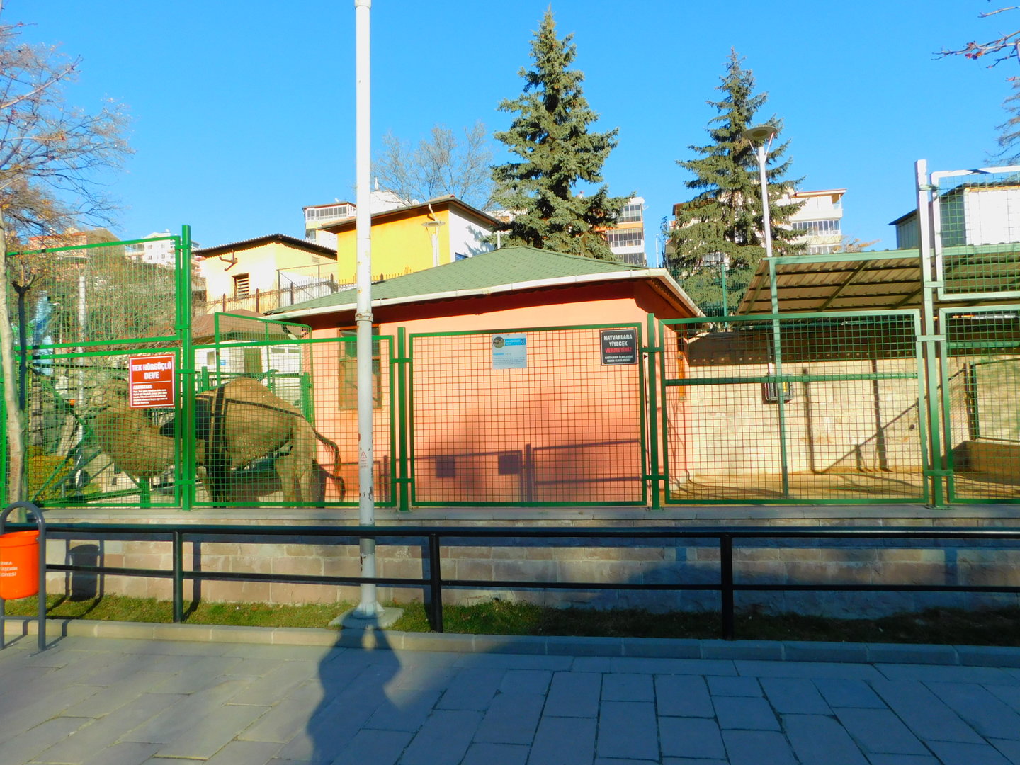 Camel Enclosure at the Ankara Domestic Animals Park