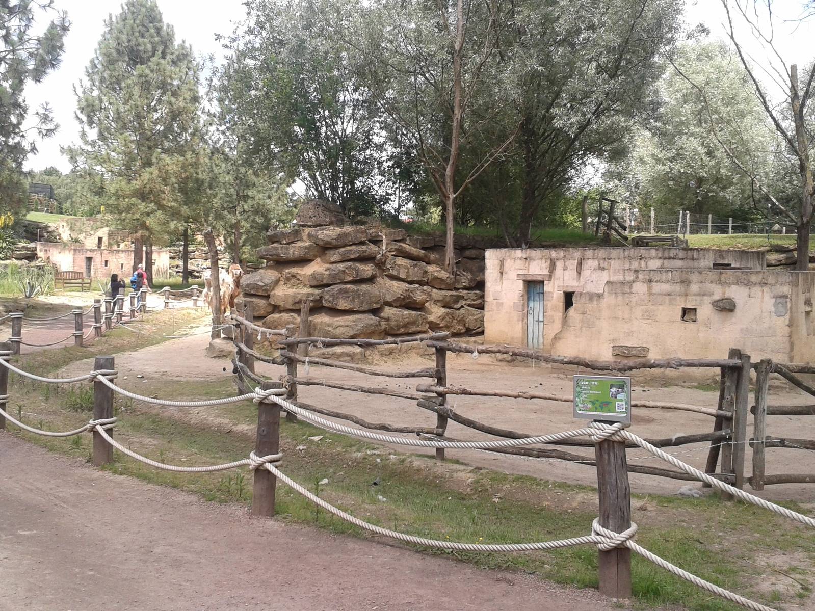 Camel enclosure