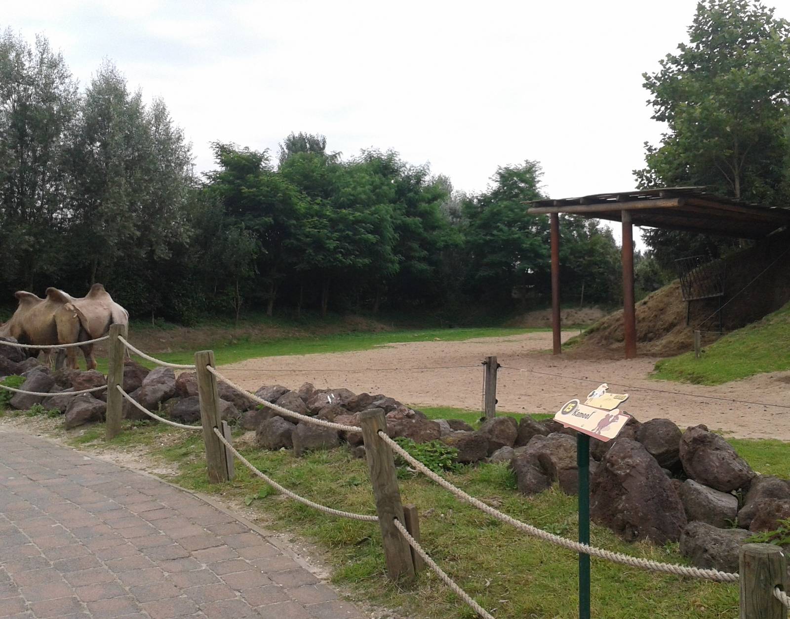 Camel enclosure