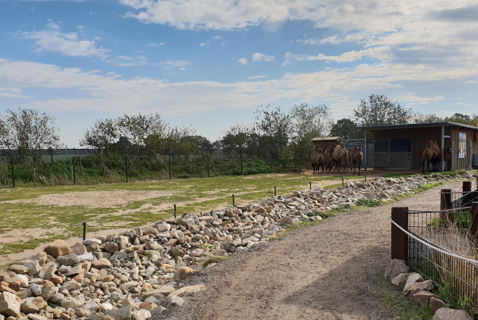 Camel-enclosure