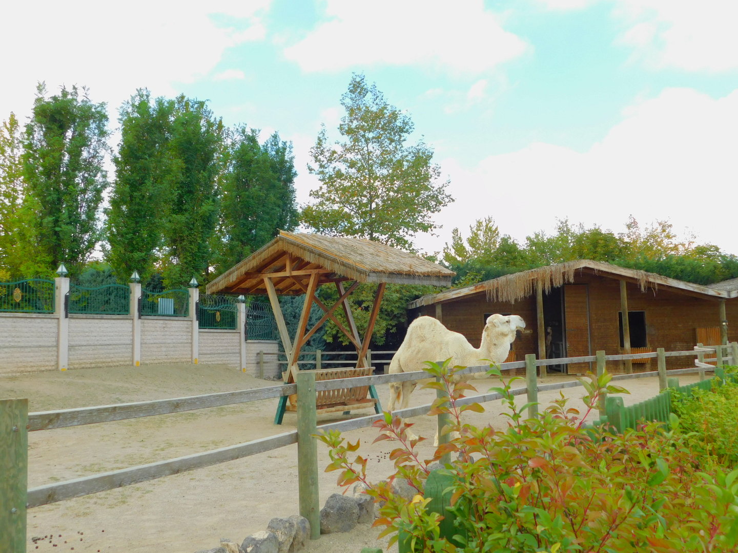 Camel Enclosure