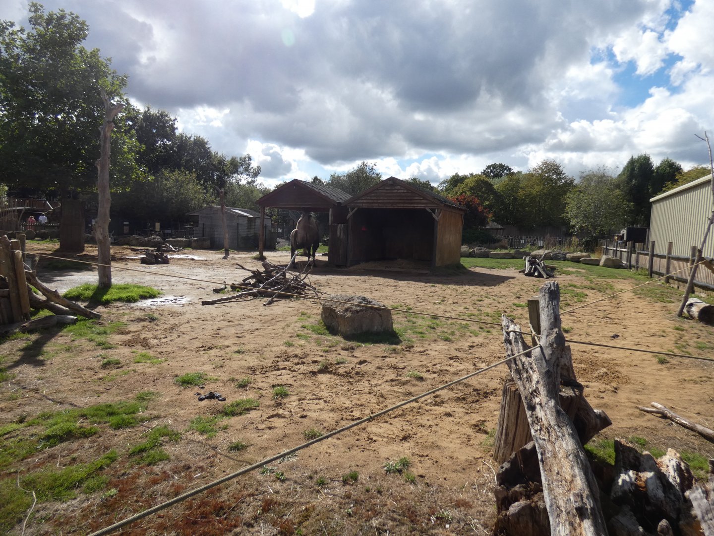 Camel enclosure