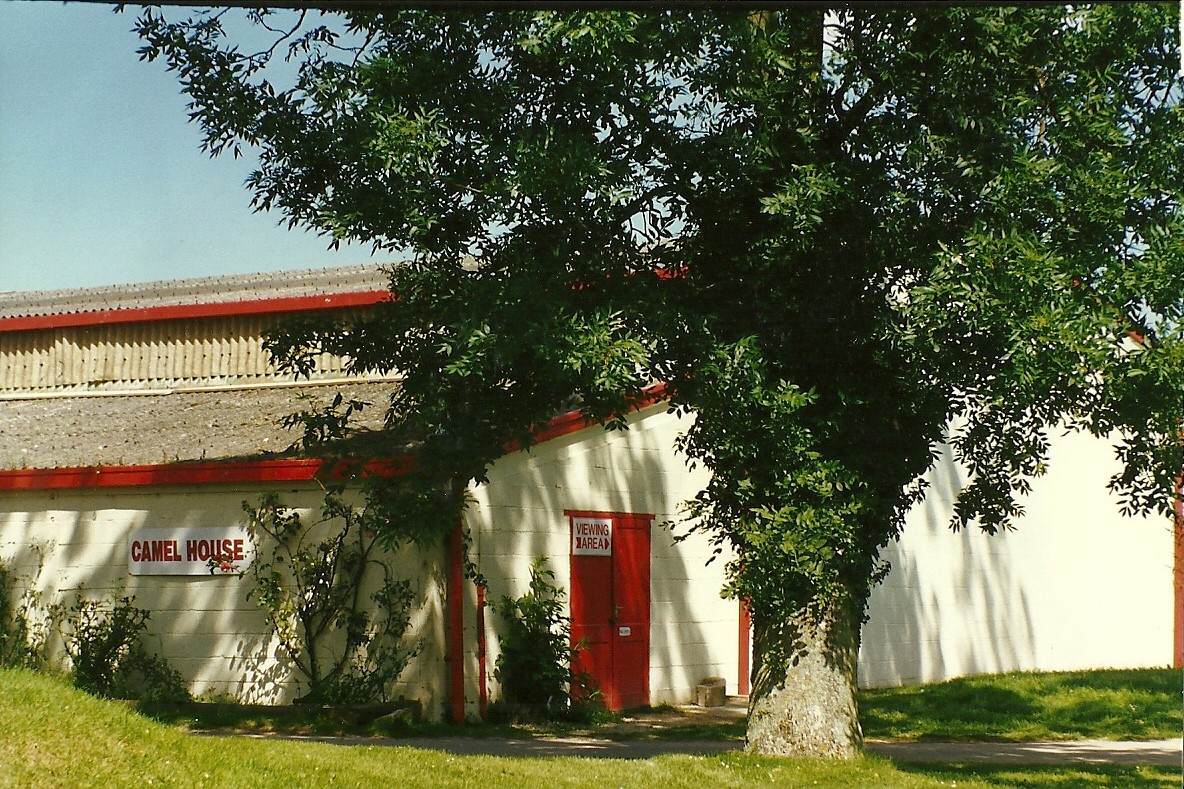 Camel (former Elephant) House 19th July 1997