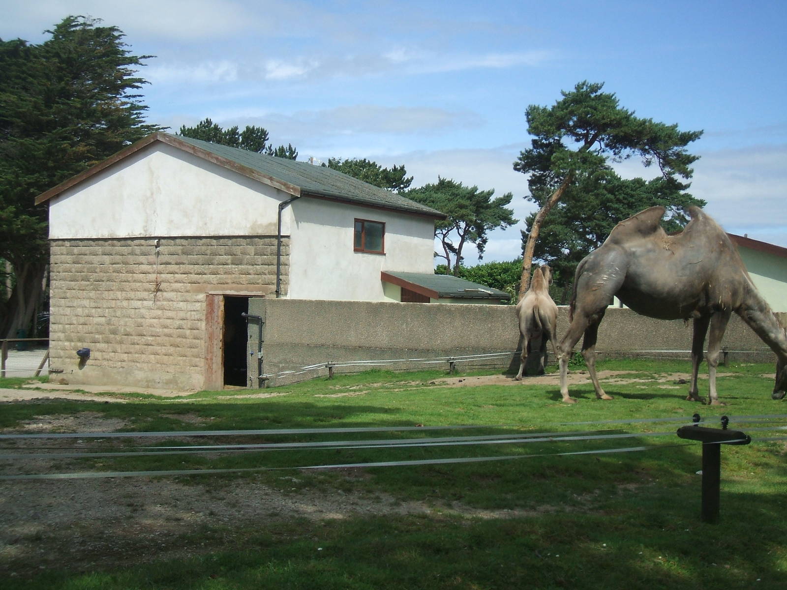 Camel House and Paddock