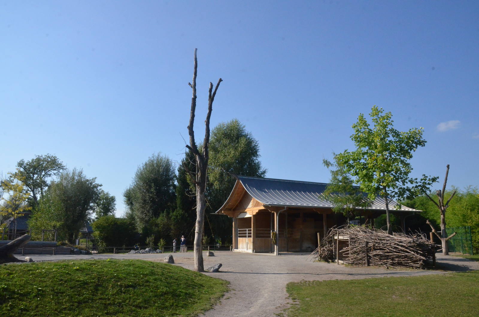 Camel House at Knie Kinderzoo, 11/09/16