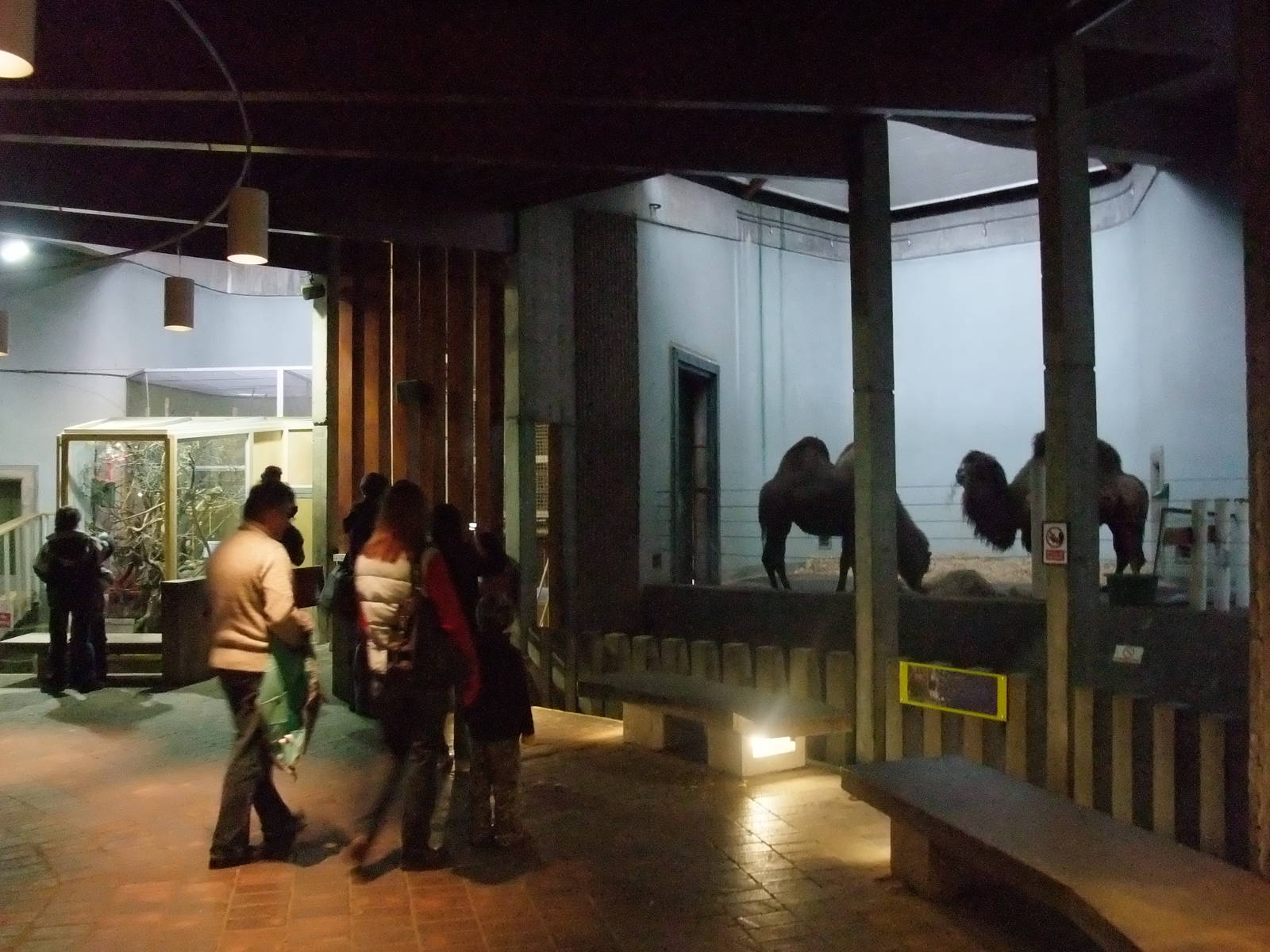 Camel indoor quarters at London Zoo Jan 2009