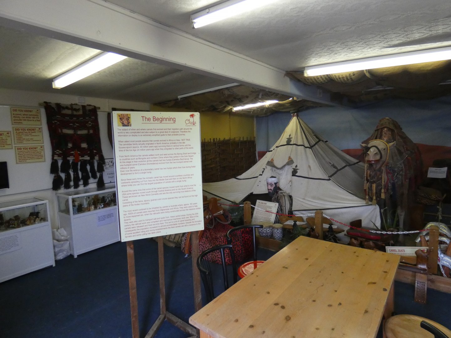 Camel museum (Camel Park Oasis)